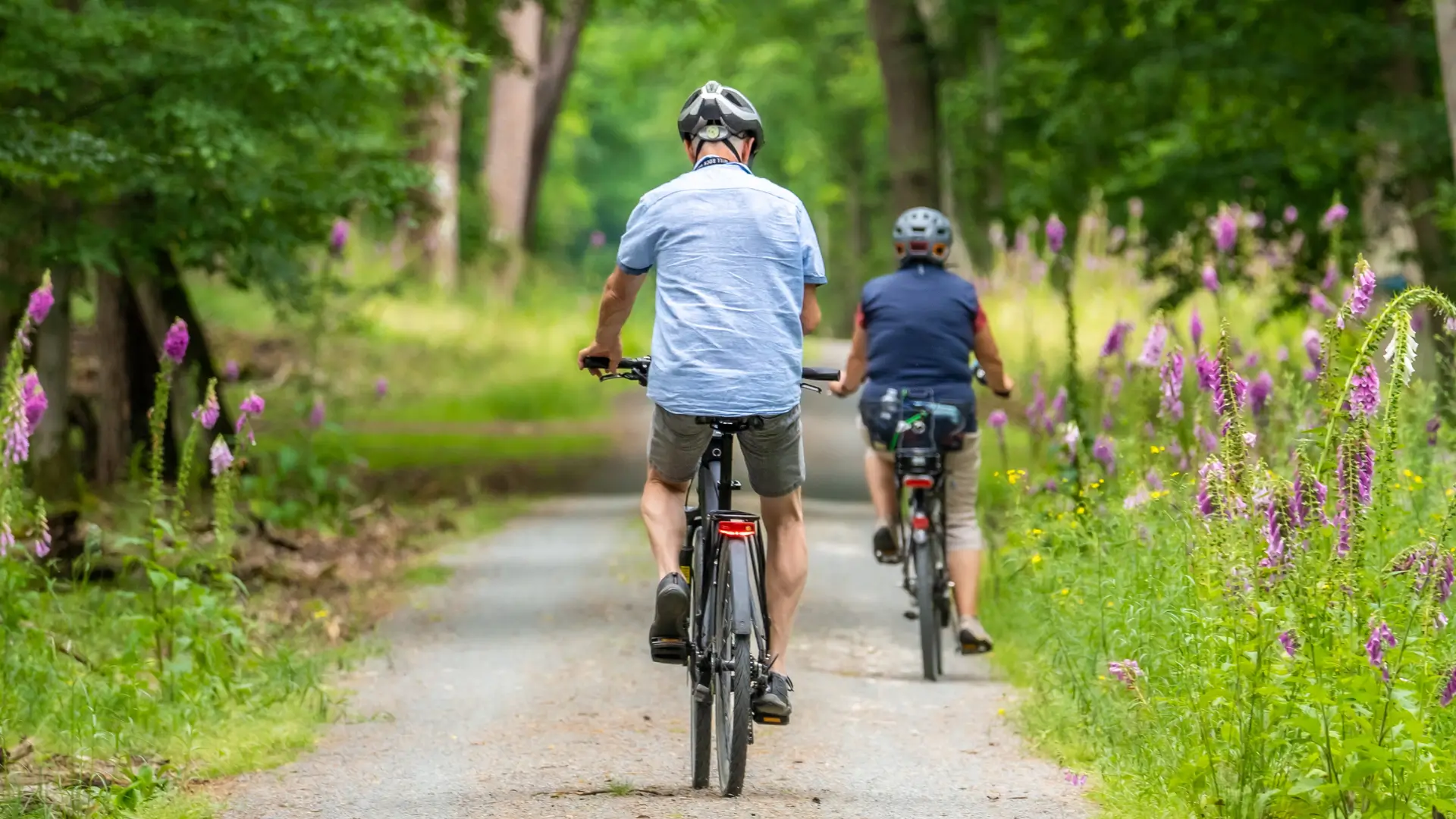 Uso y efectividad de la bicicleta en fisioterapia