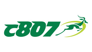 Logo consolidados 807 Honduras